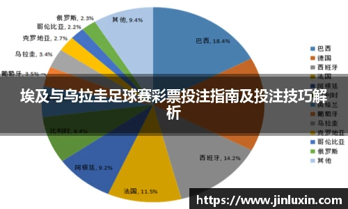 埃及与乌拉圭足球赛彩票投注指南及投注技巧解析